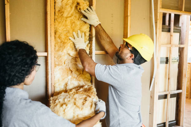 Best Attic Insulation Installation  in West Livingston, TX