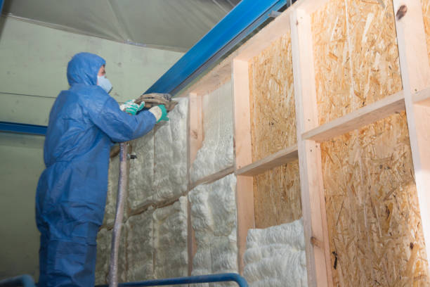 Insulation Replacement Services in West Livingston, TX